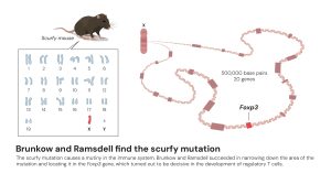 popular medicineprize2025 figure6